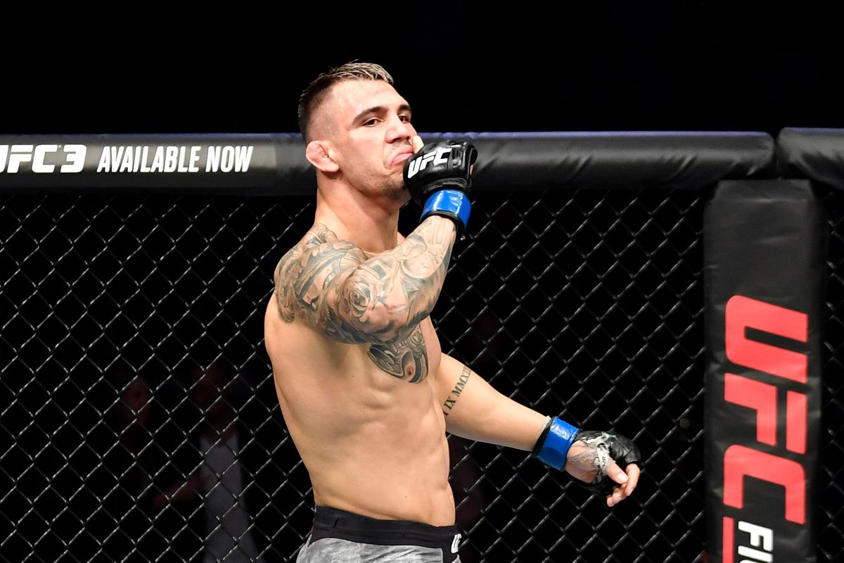 Jiri Prochazka vs Aleksandar Rakic UFC 300 Prediction, Fight Stats and Stream
