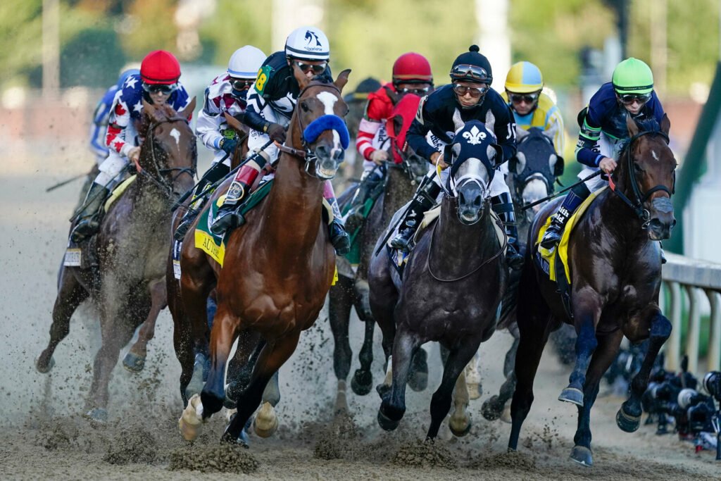 The Preakness Stakes horse racing
