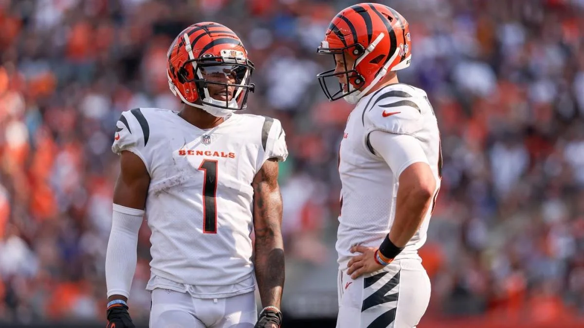 cincinnati bengals Playoff Chances
