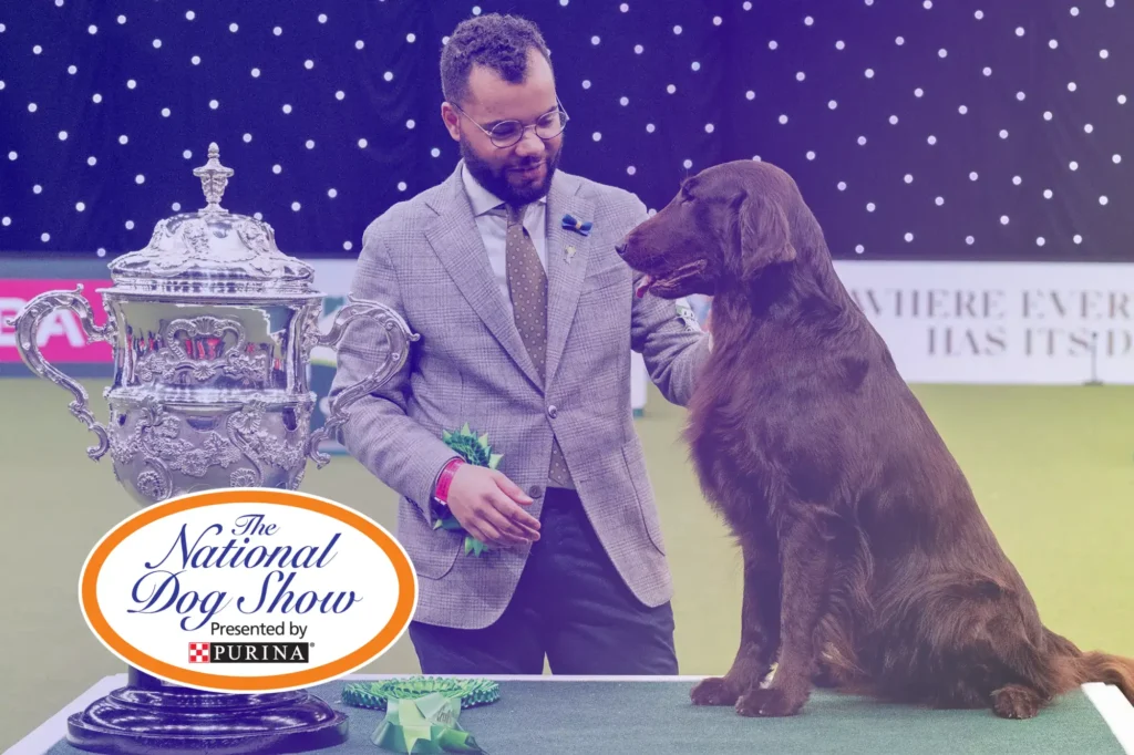National Dog Show logo in front of a judge judging a dog and an award