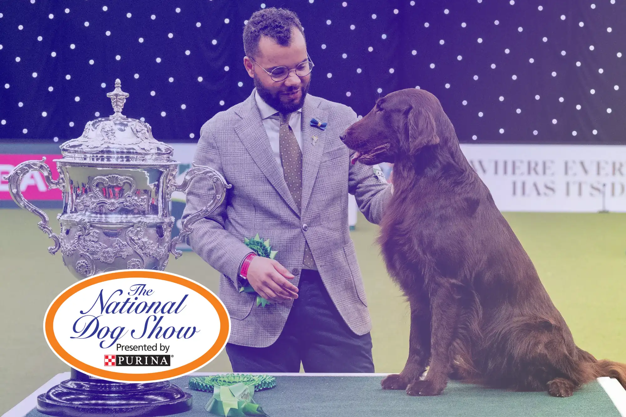 How to watch National Dog Show 2022 Where to watch Thanksgiving day's