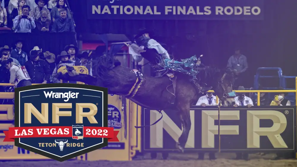 Riding Horse at Las Vegas on National Finals Rodeo, NFR 2022