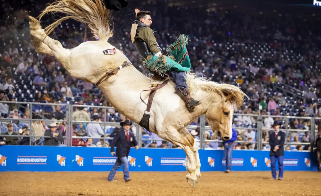 Houston Livestock Show and Rodeo's 2023 World's Championship