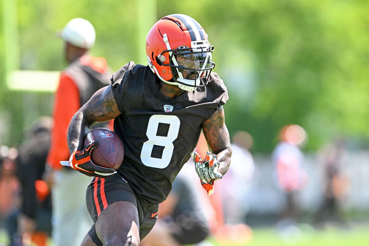 elijah moore Fantasy Football waiver wire pickups week 15