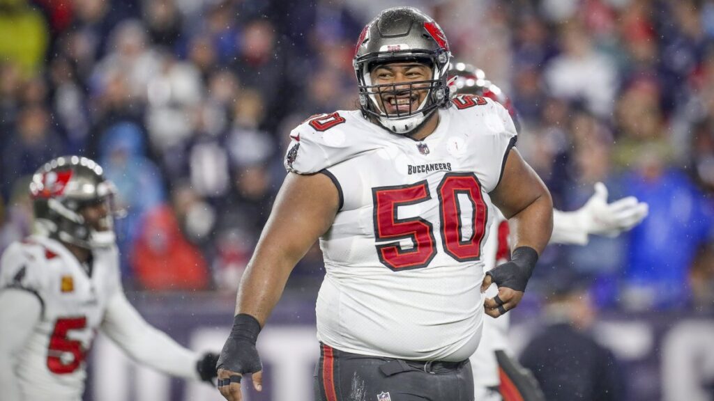 Vita Vea Tampa Bay Buccaneers fantasy football Week 14 streamers defense